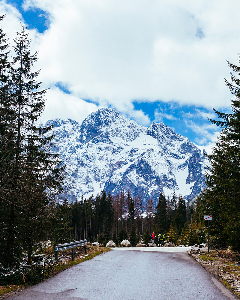 kashmir