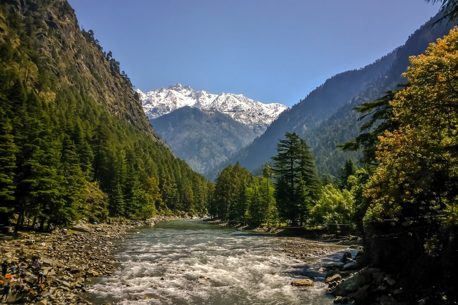 kasol1
