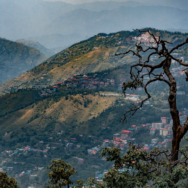 Shimla Spiti tour
