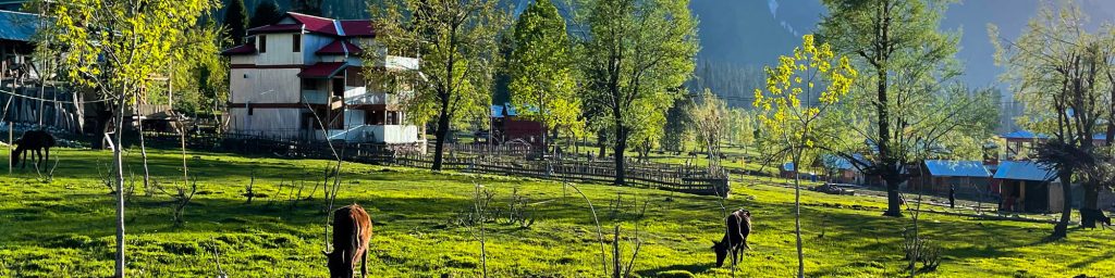 Dharamshala Tour Package